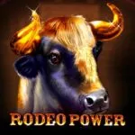 Slot Rodeo Power